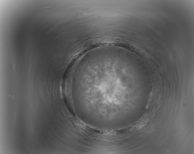 X0000058130720200509301953