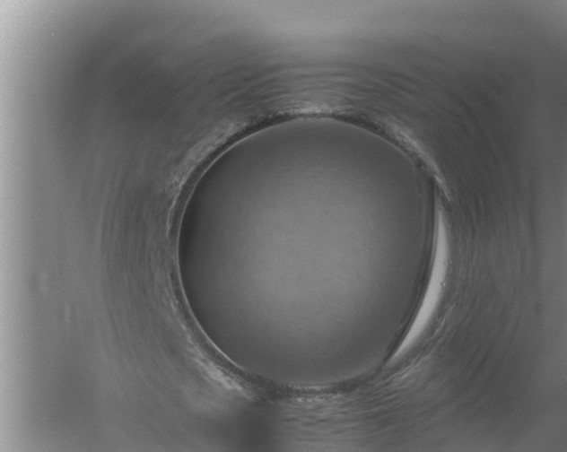 X0000058130721200509301952