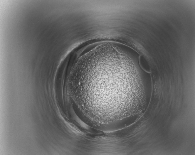 X0000058130722200509301952