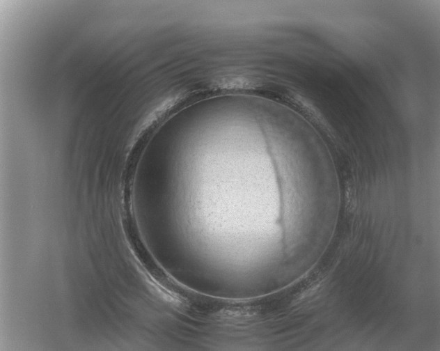 X0000058130725200509301952