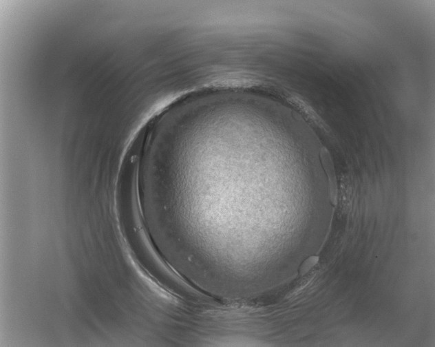 X0000058130726200509301952