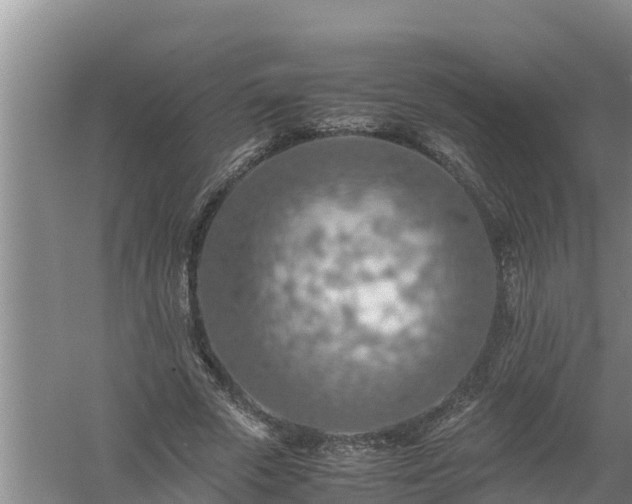 X0000058130729200509301952