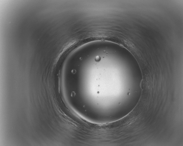 X0000058130731200509301952