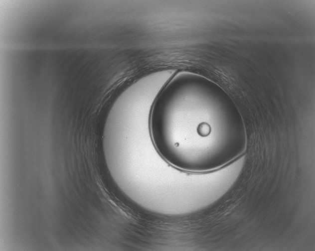 X0000058130744200509301952