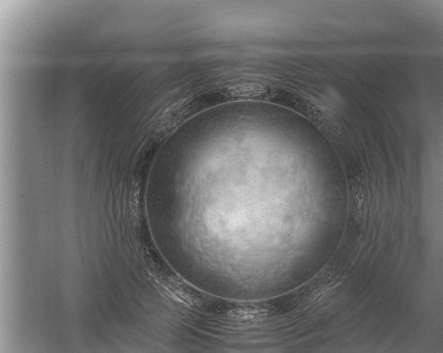 X0000058130745200509301952