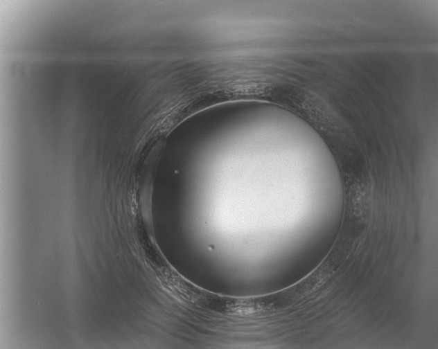 X0000058130746200509301952