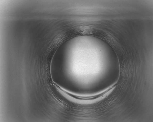 X0000058130748200509301952