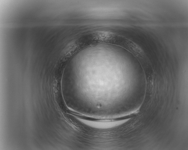 X0000058130750200509301952