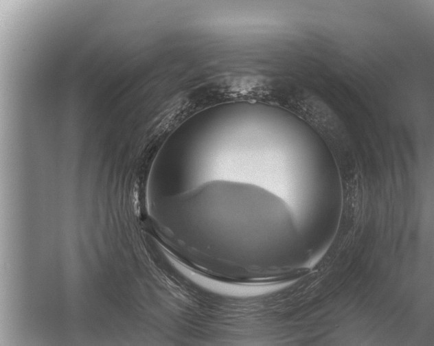 X0000058130754200509301952