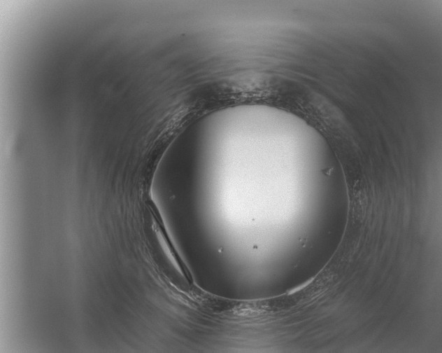 X0000058130756200509301952