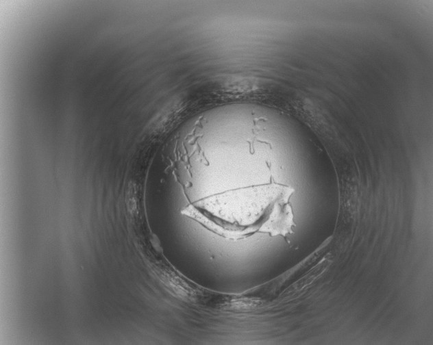 X0000058130758200509301952