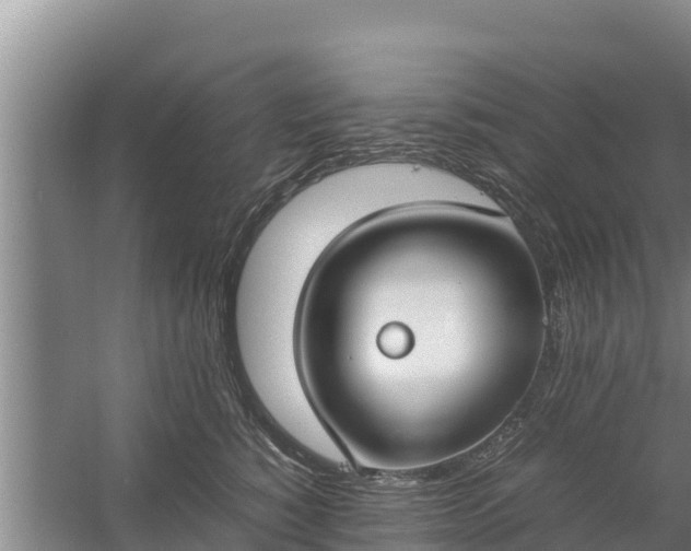 X0000058130760200509301952