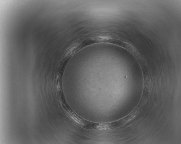 X0000058130762200509301952