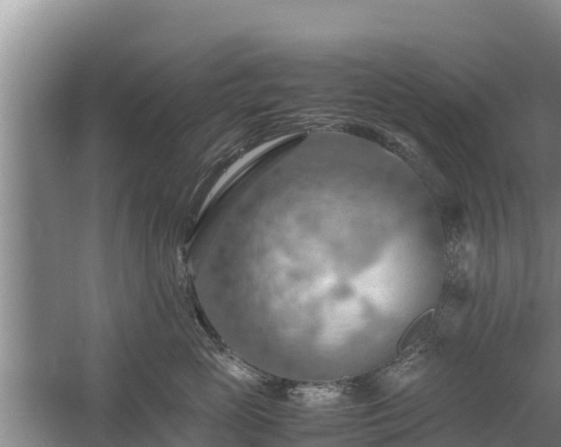 X0000058130765200509301952