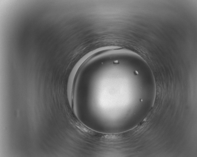 X0000058130766200509301952