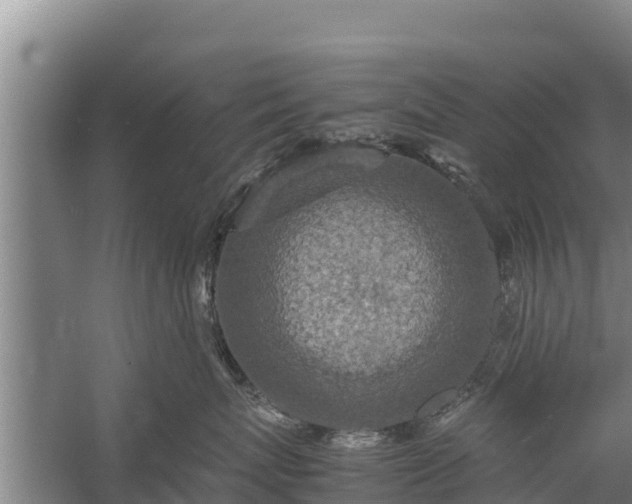 X0000058130767200509301953