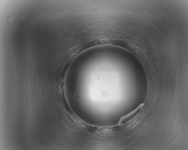 X0000058130768200509301953