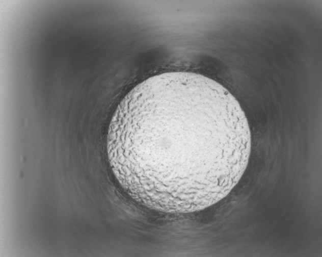 X0000058130769200509301952