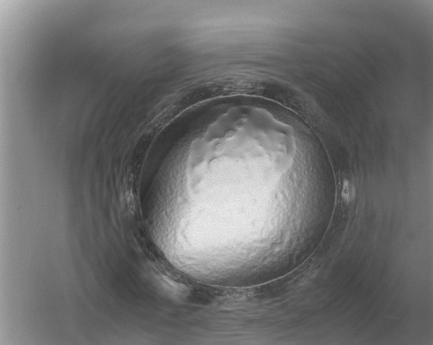 X0000058130771200509301952