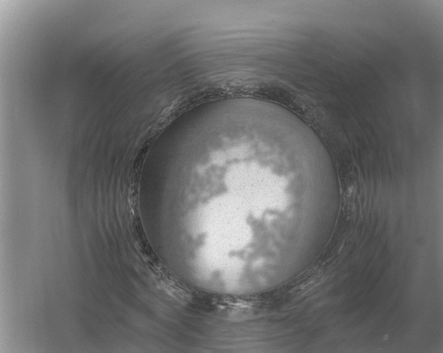 X0000058130772200509301952