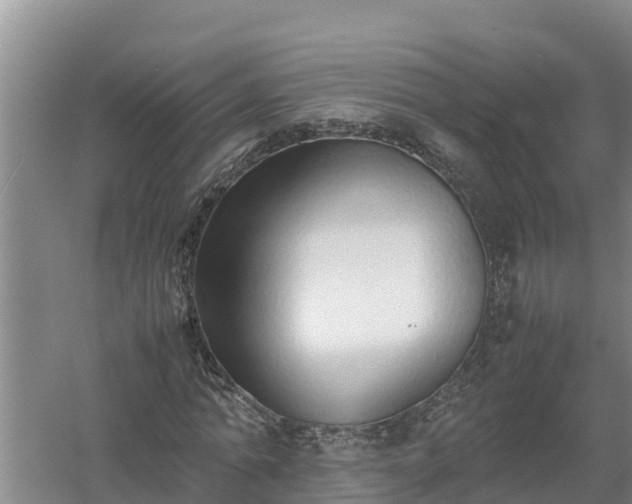 X0000058130774200509301952