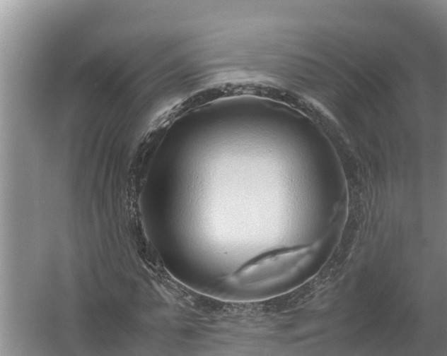 X0000058130775200509301952