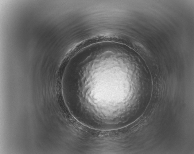 X0000058130776200509301952