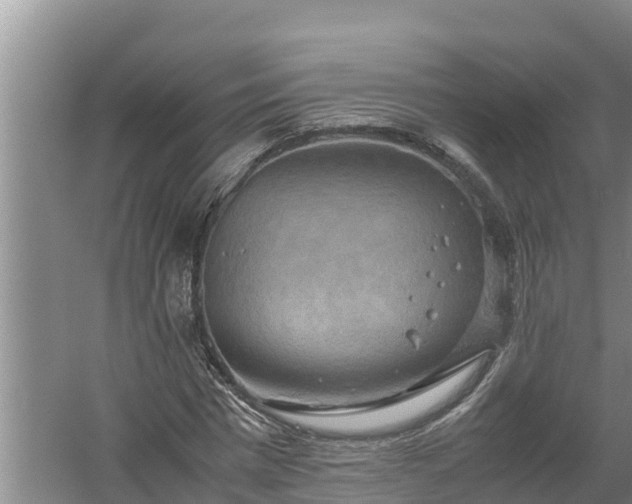 X0000058130777200509301952