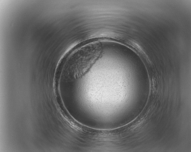 X0000058130780200509301952