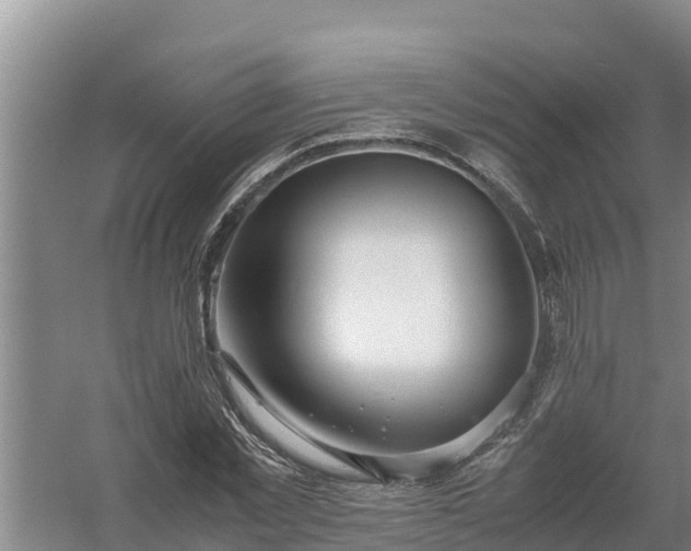 X0000058130781200509301952