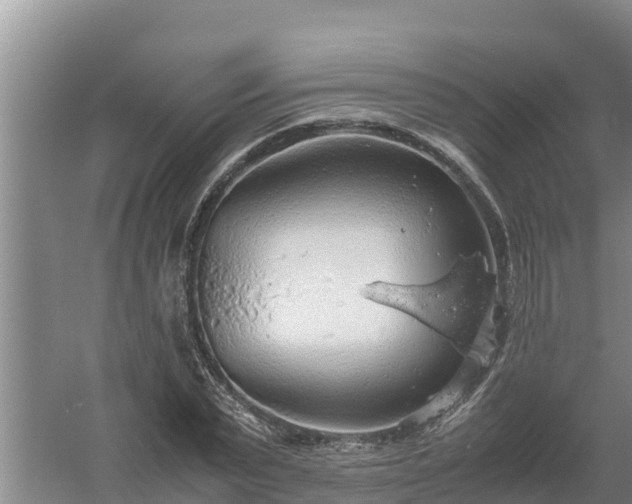 X0000058130783200509301951