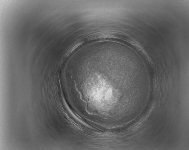 X0000058130785200509301951