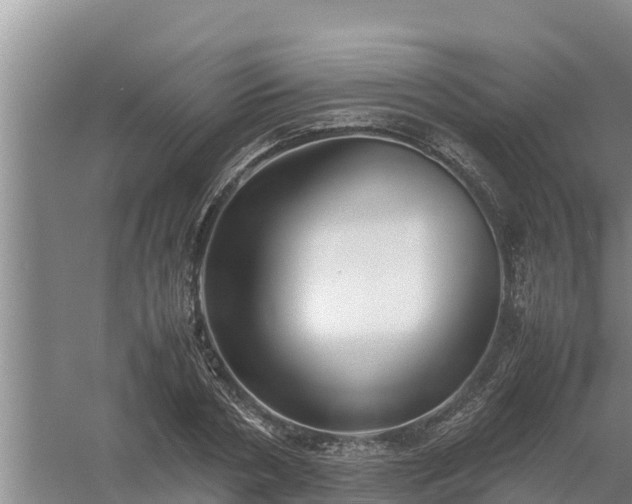 X0000058130786200509301951