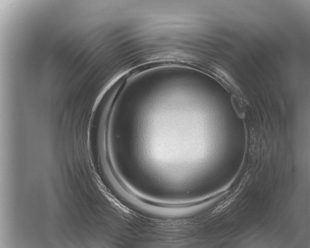 X0000058130788200509301951