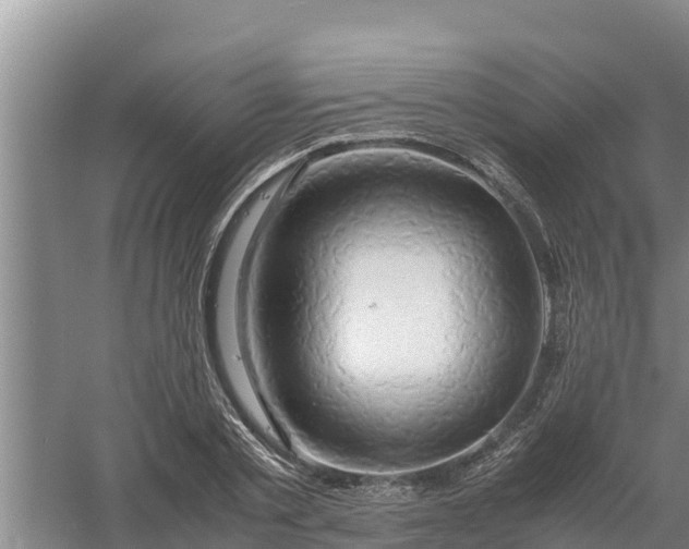 X0000058130789200509301951