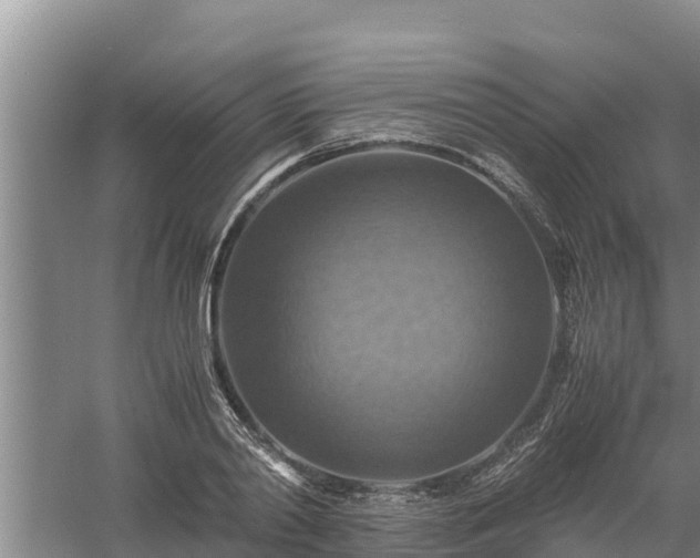 X0000058130790200509301951