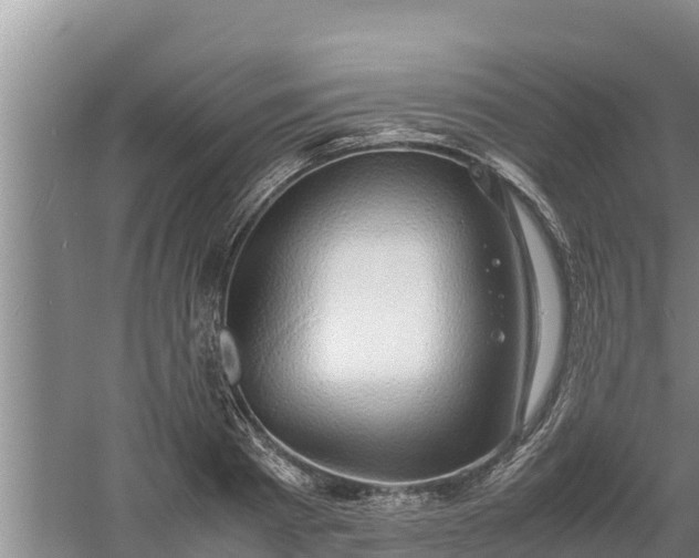 X0000058130793200509301951