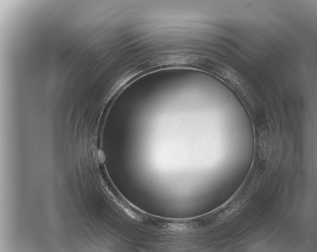 X0000058130794200509301951