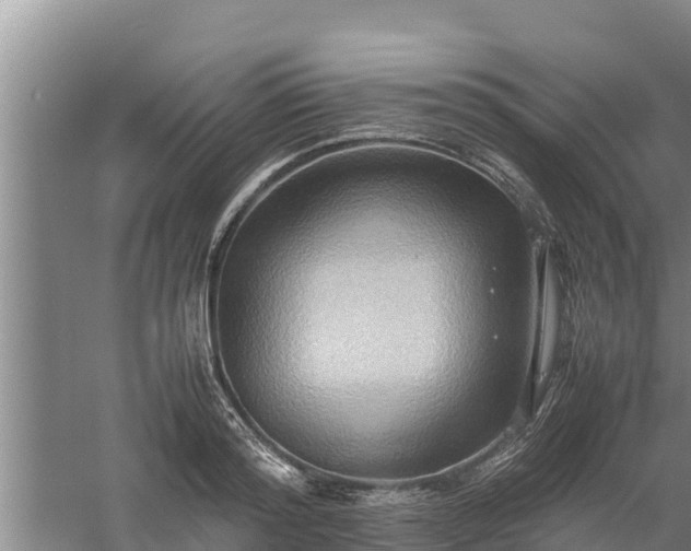 X0000058130796200509301951