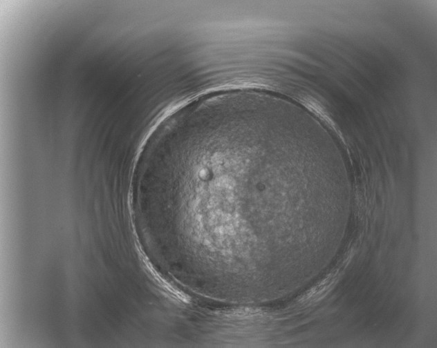 X0000058130797200509301951