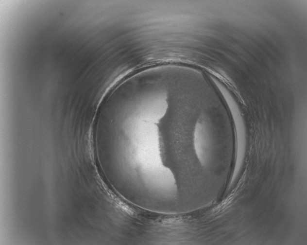 X0000058130798200509301951