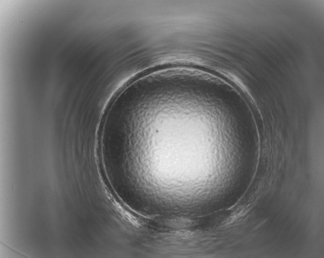 X0000058130799200509301951