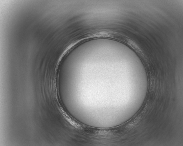 X0000058130800200509301951