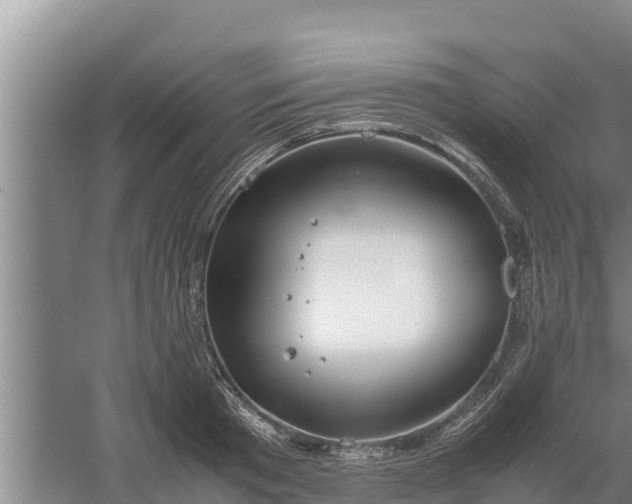 X0000058130801200509301951