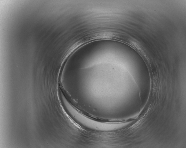 X0000058130802200509301951