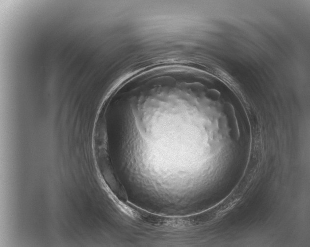 X0000058130803200509301951