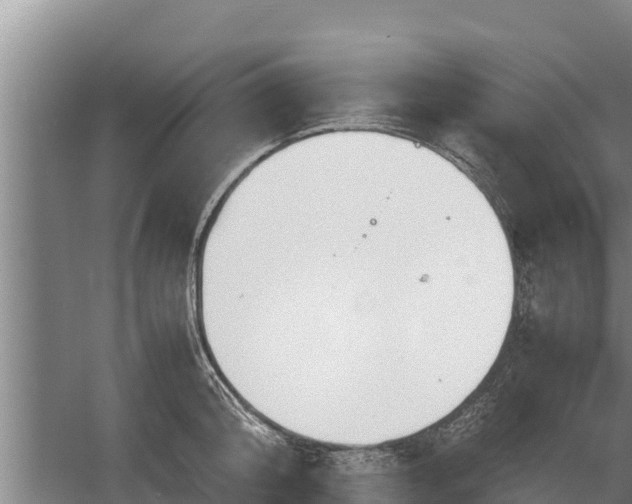 X0000058130804200509301951