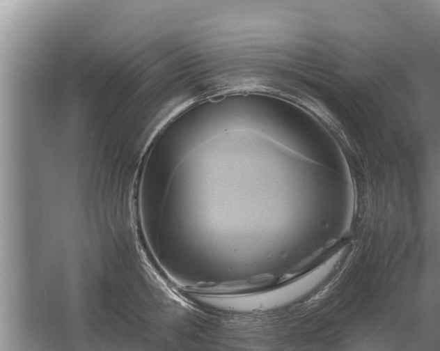 X0000058130806200509301951