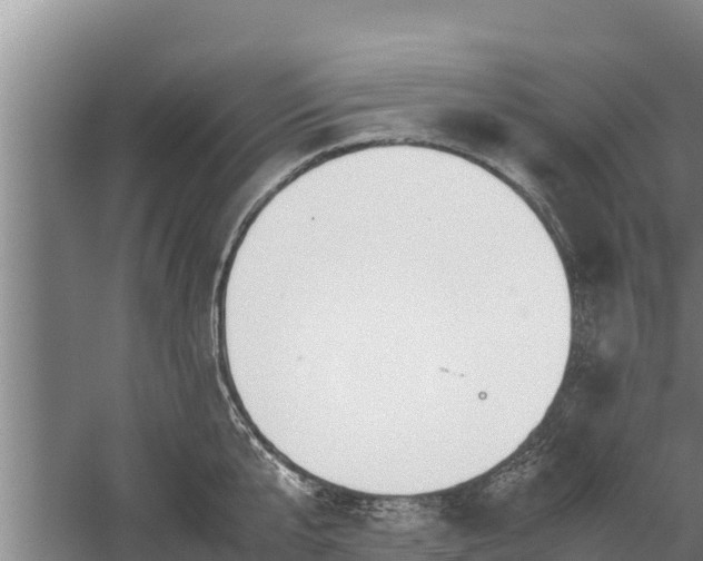 X0000058130807200509301951