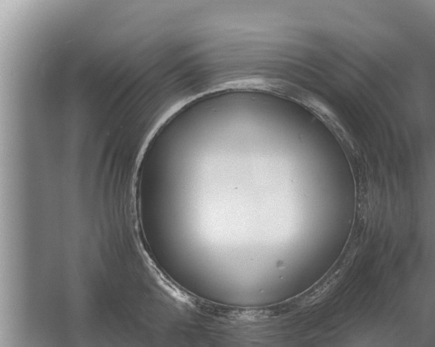 X0000058130808200509301951